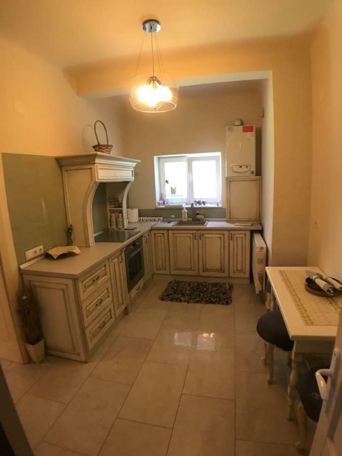 Apartment Vintige Cluj-Napoca Ngoại thất bức ảnh