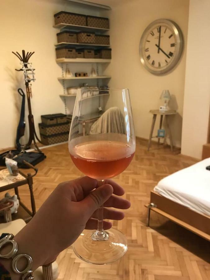 Apartment Vintige Cluj-Napoca Ngoại thất bức ảnh