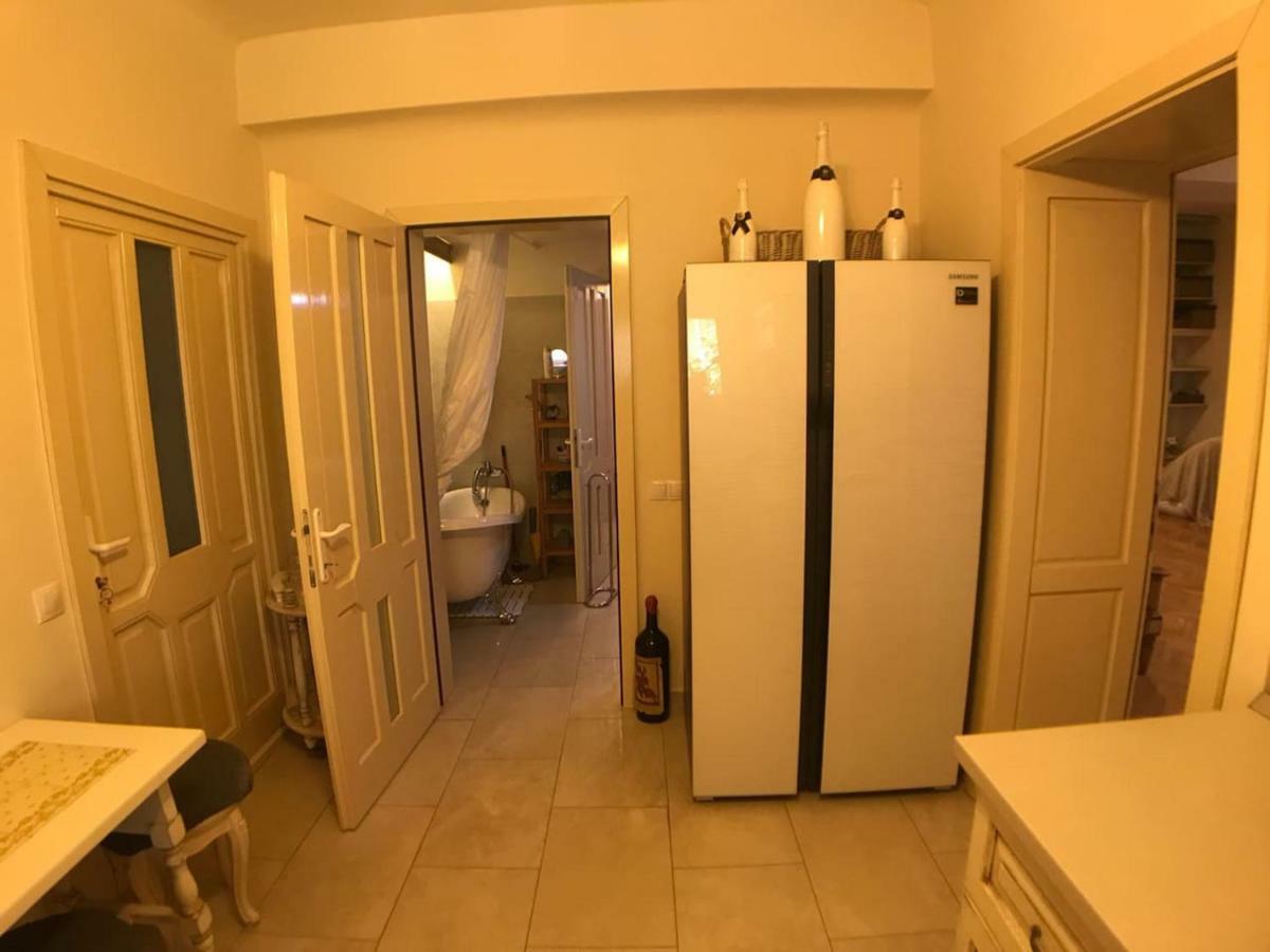 Apartment Vintige Cluj-Napoca Ngoại thất bức ảnh